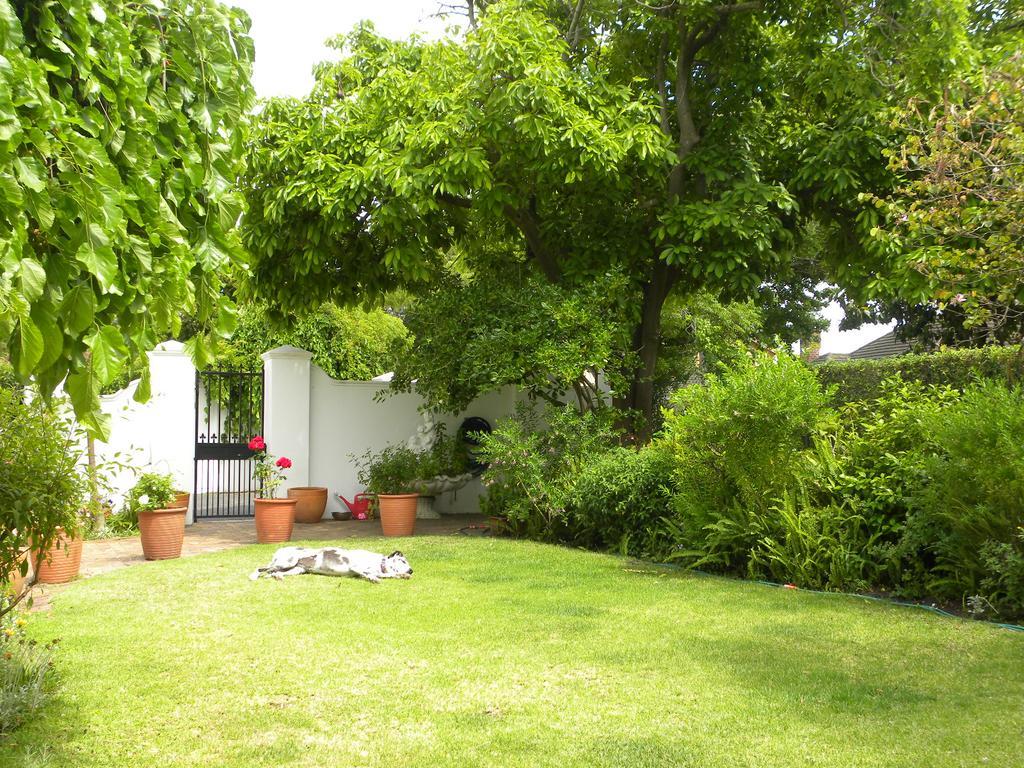 Applegarth B&B And Self-Catering Studios Cape Town Exterior photo