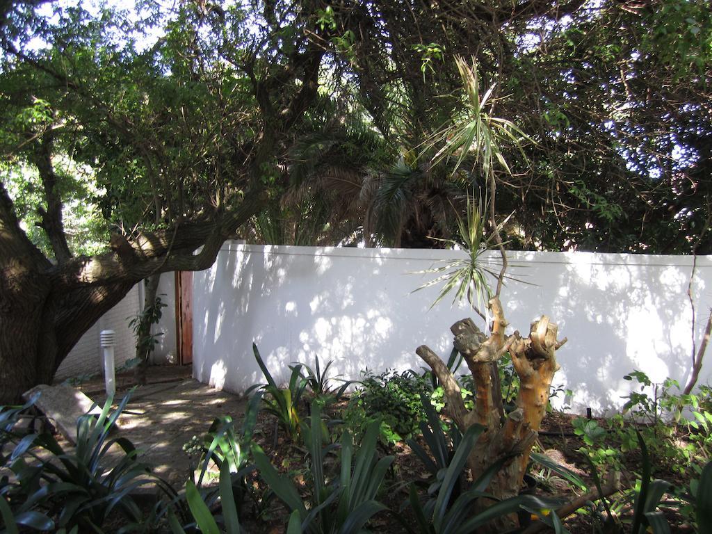 Applegarth B&B And Self-Catering Studios Cape Town Exterior photo